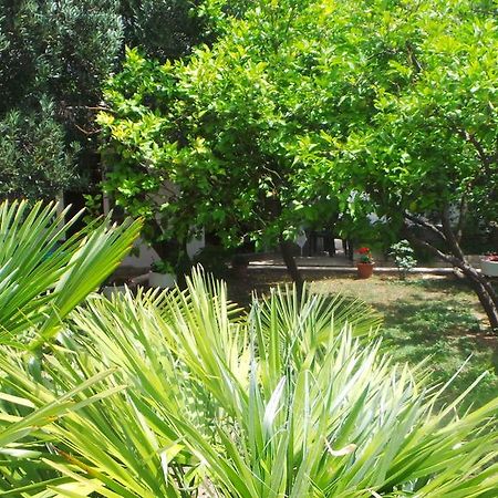 Pension Vice Gradac  Esterno foto