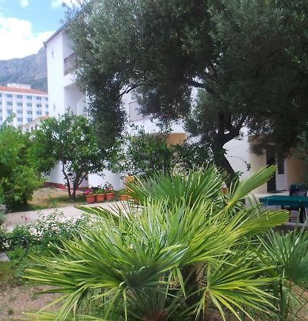 Pension Vice Gradac  Esterno foto