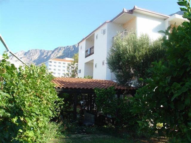 Pension Vice Gradac  Esterno foto