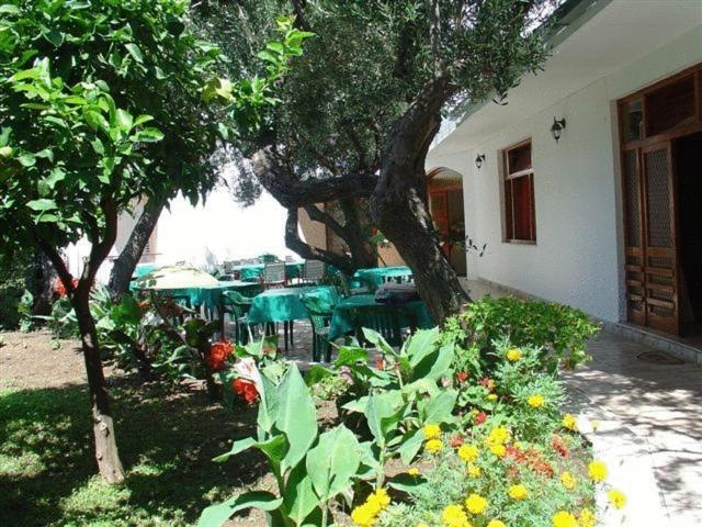 Pension Vice Gradac  Esterno foto