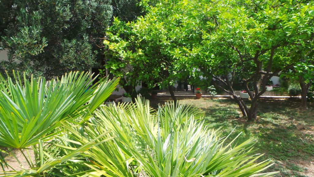 Pension Vice Gradac  Esterno foto